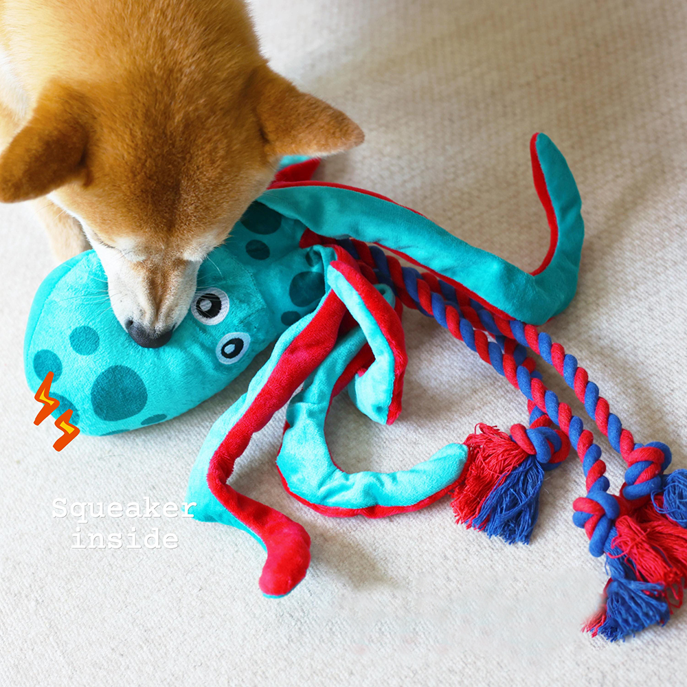 Personalized Handmade Pet Squeaky Interactive Chew Toy | BKPet172