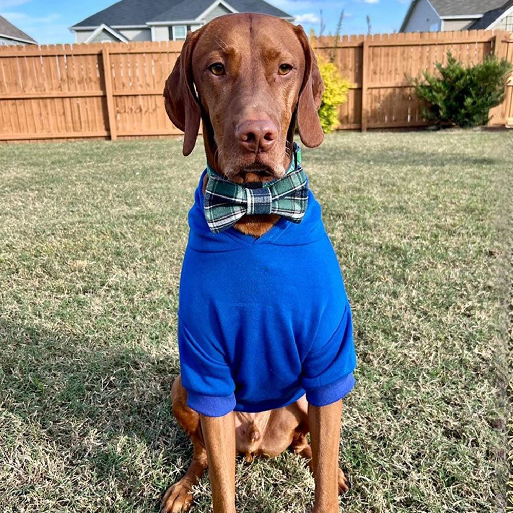 Personalized Cozy Season Warm Puppy Hoodie | BKPet282