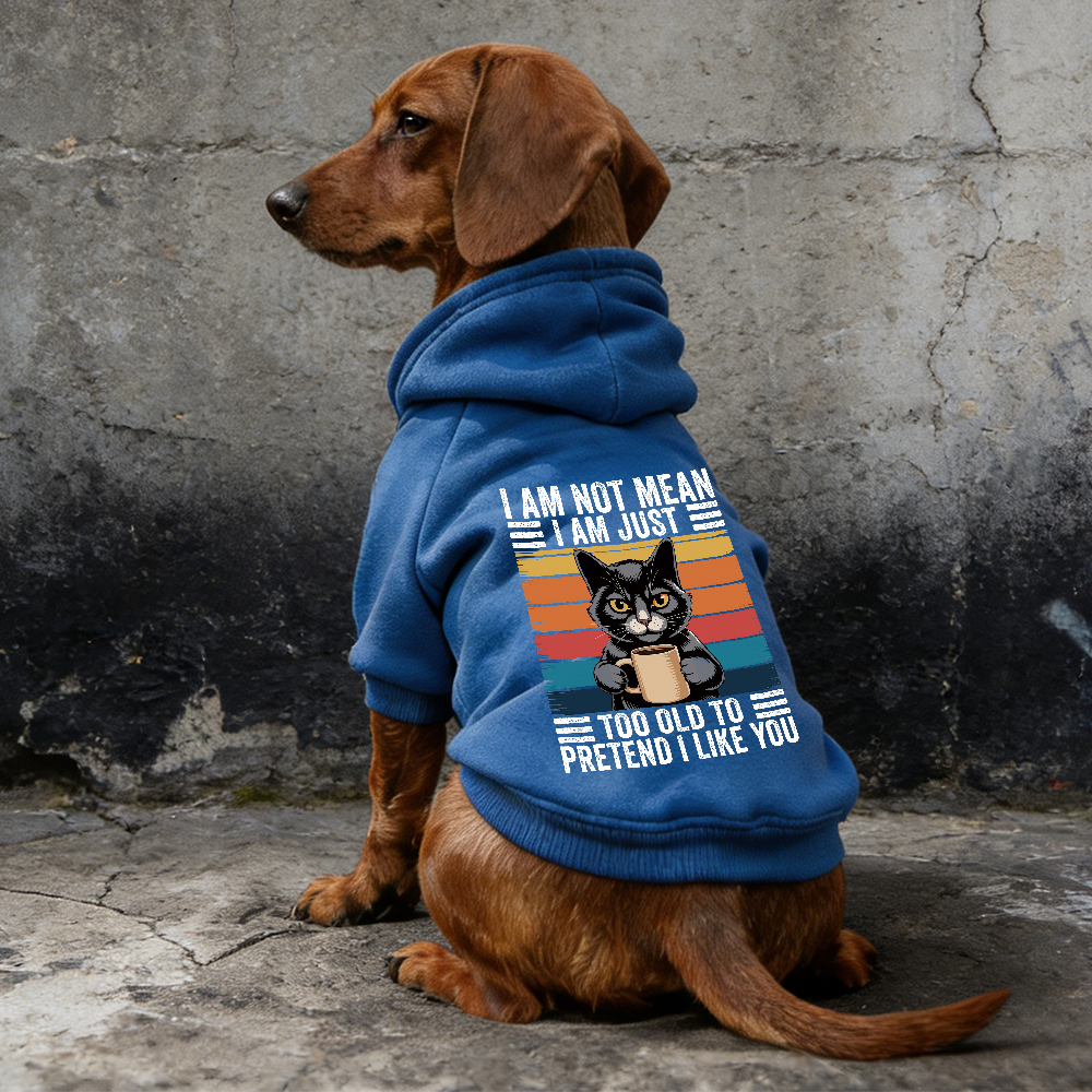 I AM NOT MEAN Puppy Hoodie | BKPet329