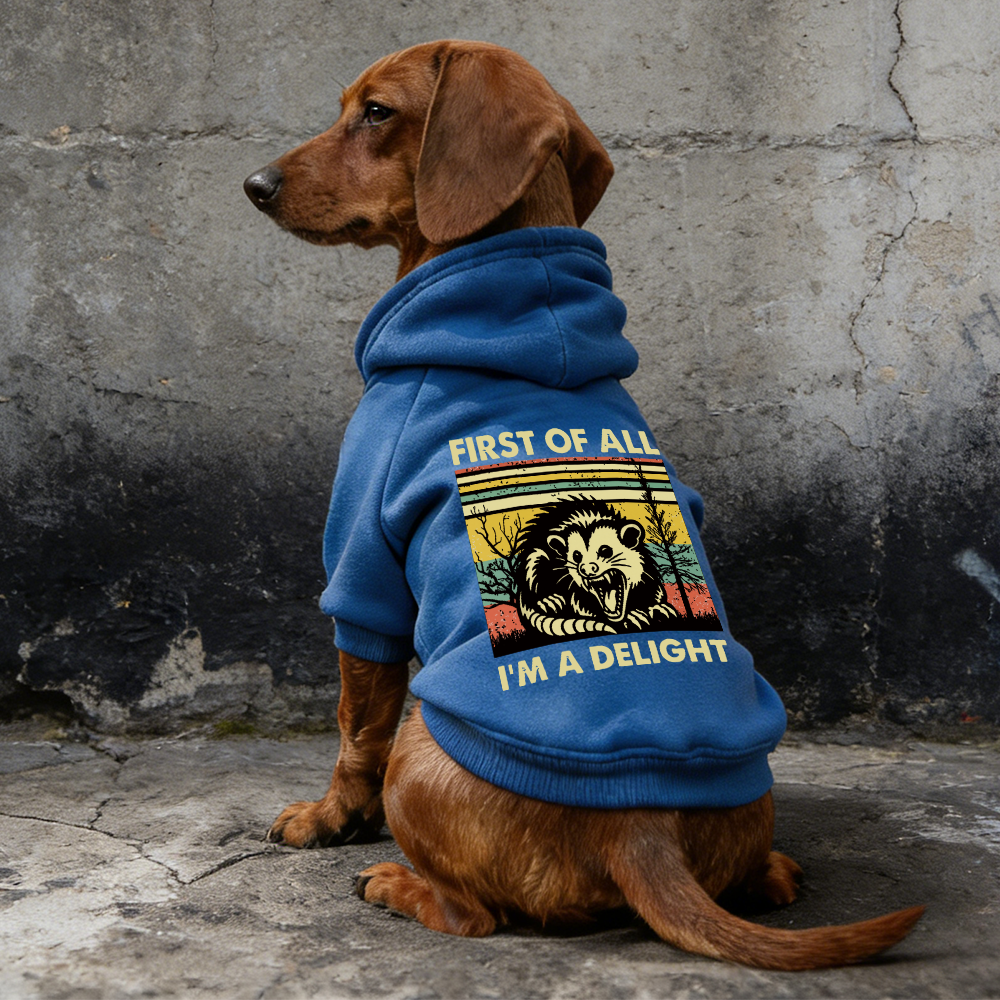 FIRST OF ALL I'M A DELIGHT Puppy Hoodie | BKPet331
