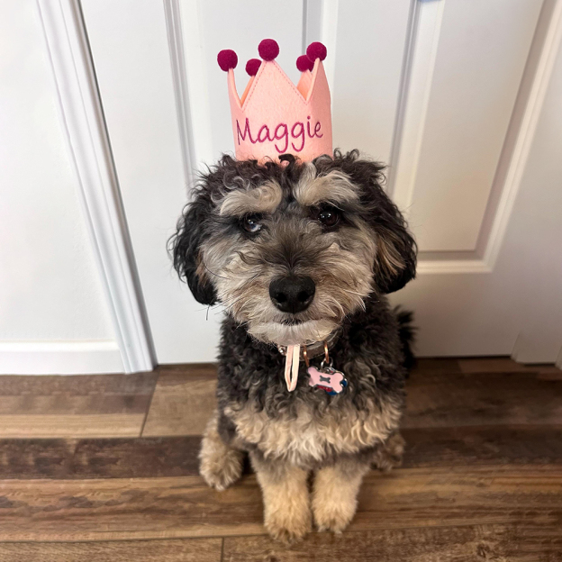 Personalized Embroidered Pet Felt Birthday Crown | BKPet443