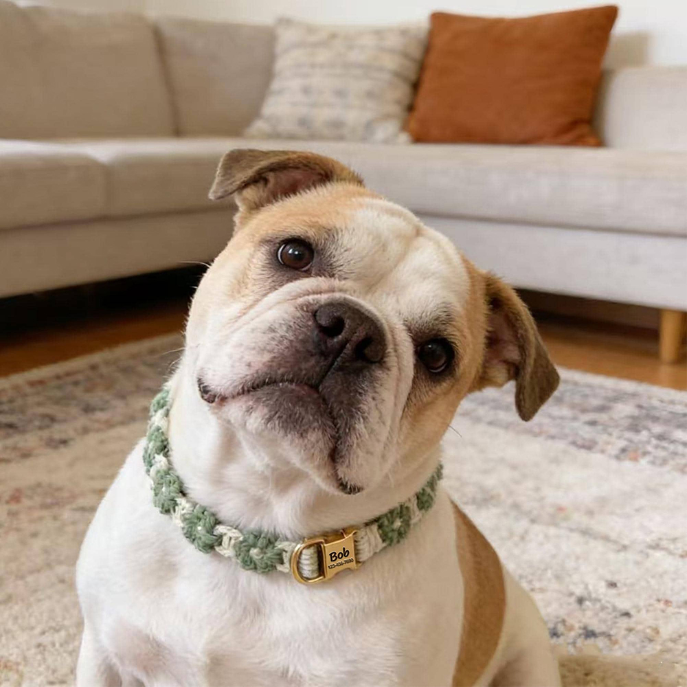 Personalized Handmade Macrame Flowers Pet Collar | BKPet457