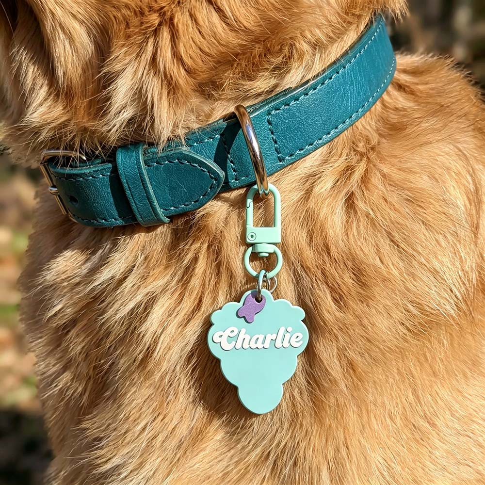 Personalized 3D Printed Pets ID Tag | BKPet575