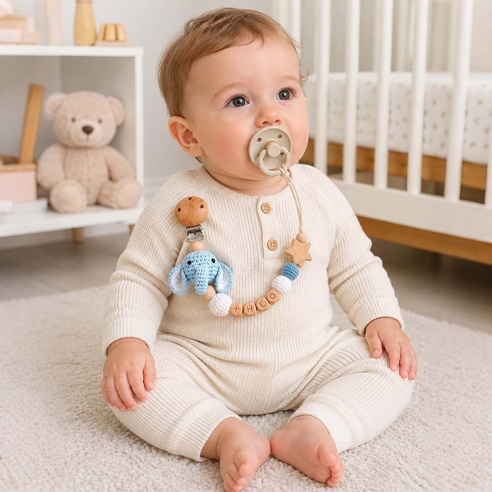Personalized Baby Pacifier Crocheted Animal Clip | CWToy148