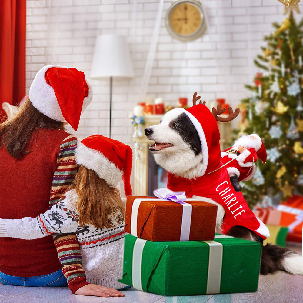 Personalized Christmas Santa Pet Riding Clothes | BKPet96