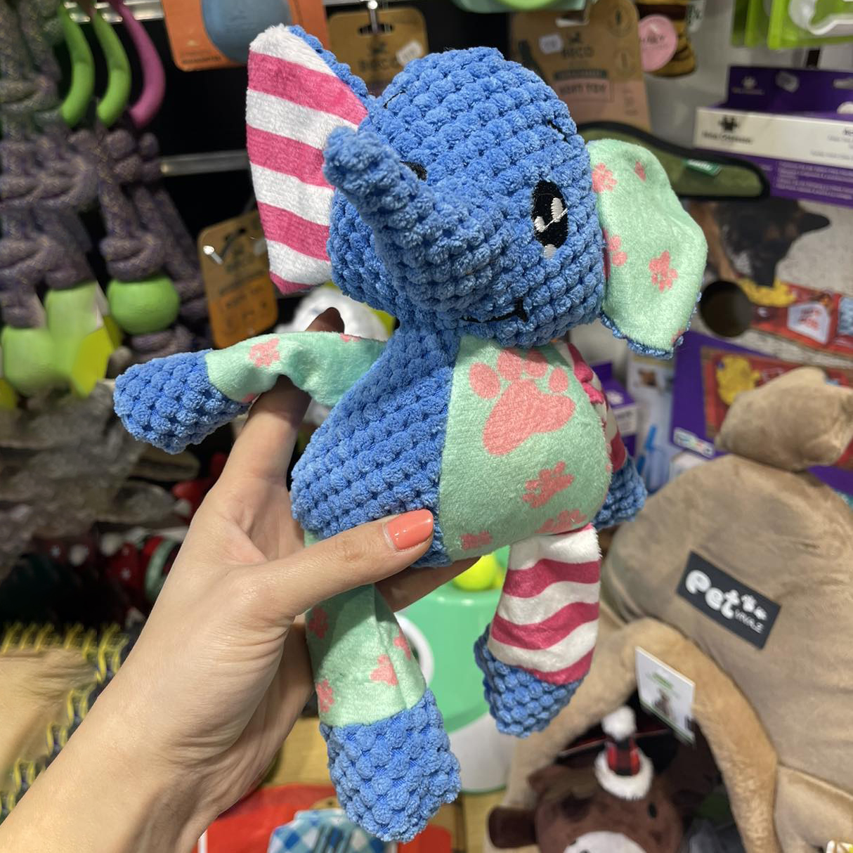 Personalized Handmade Pet Squeaky Interactive Chew Toy | BKPet172