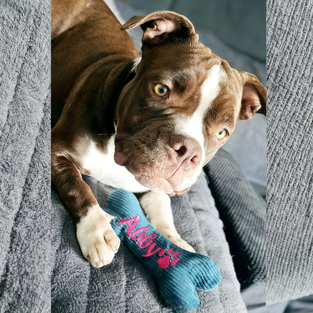 Personalized Embroidered Corduroy Puppy Bone Squeaker Toy | BKPet257