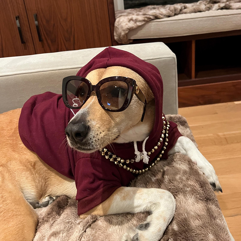 Personalized Cozy Season Warm Puppy Hoodie | BKPet282