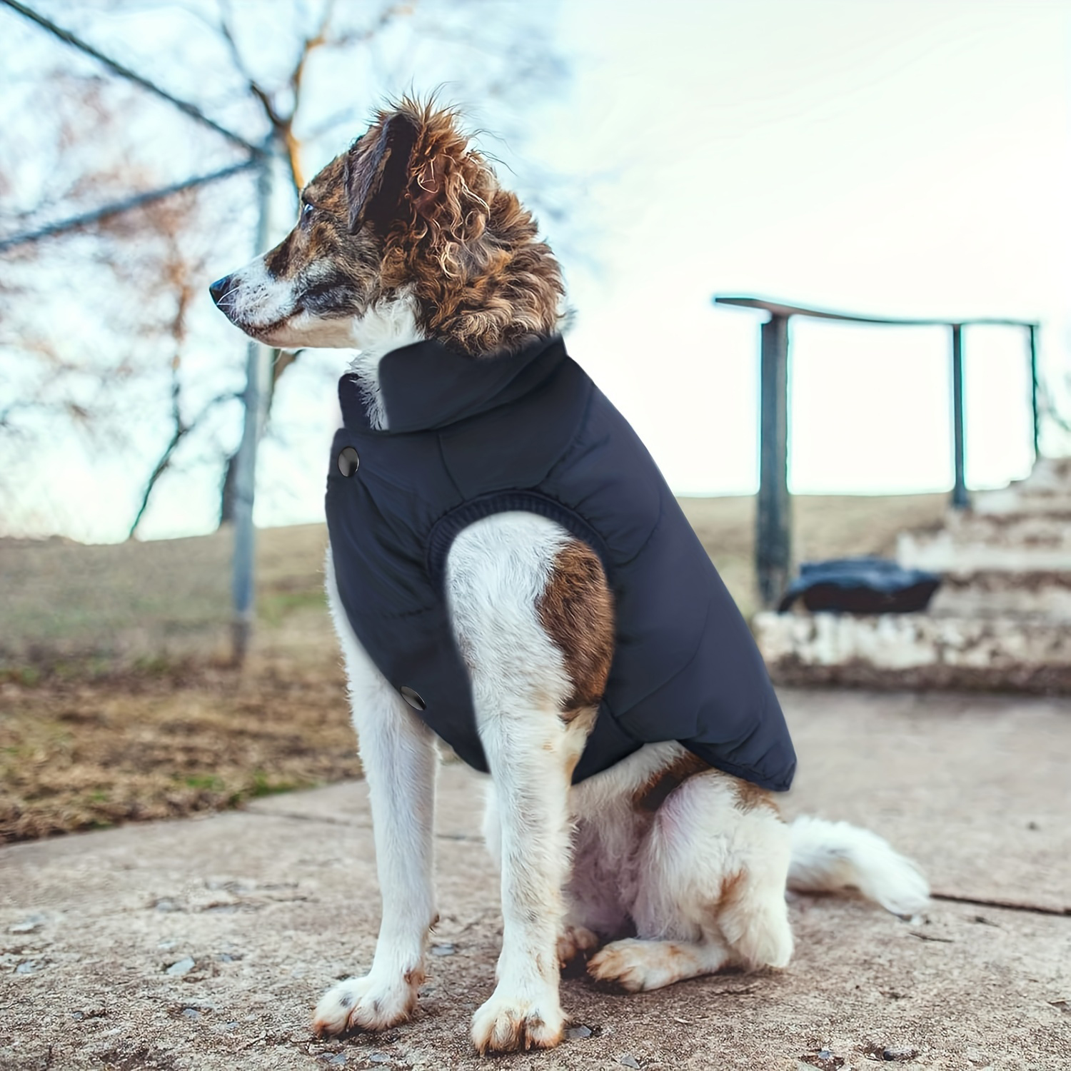 Personalized Pet Winter Warm Puffer Vest | BKPet14801