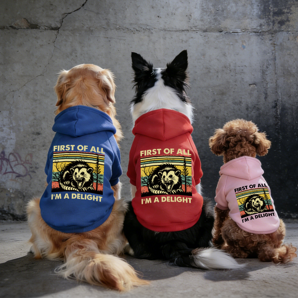 FIRST OF ALL I'M A DELIGHT Puppy Hoodie | BKPet331