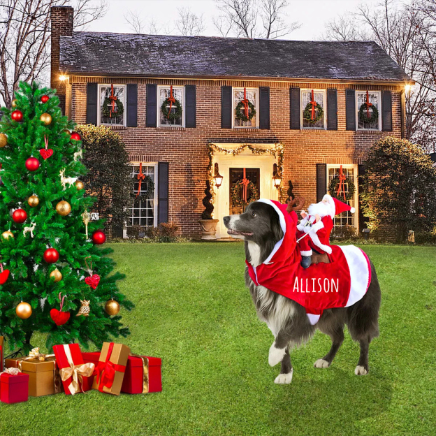 Personalized Christmas Santa Pet Riding Clothes | BKPet96