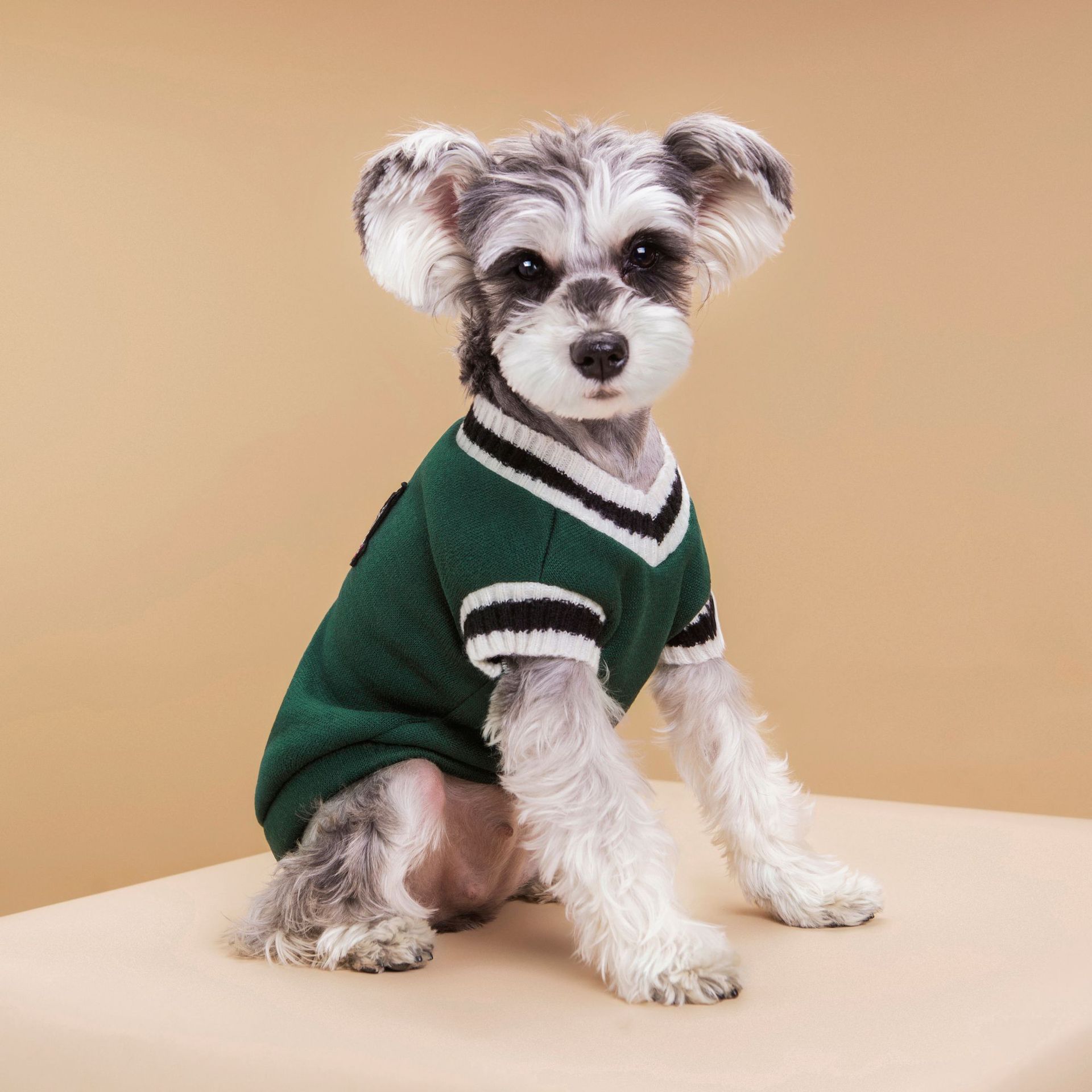Personalized Leather Patch Pets Sweater | BKPet98