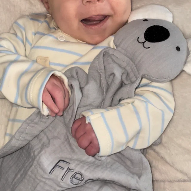 Personalized Baby Embroidery Organic Cotton Koala Toy | CWToy26