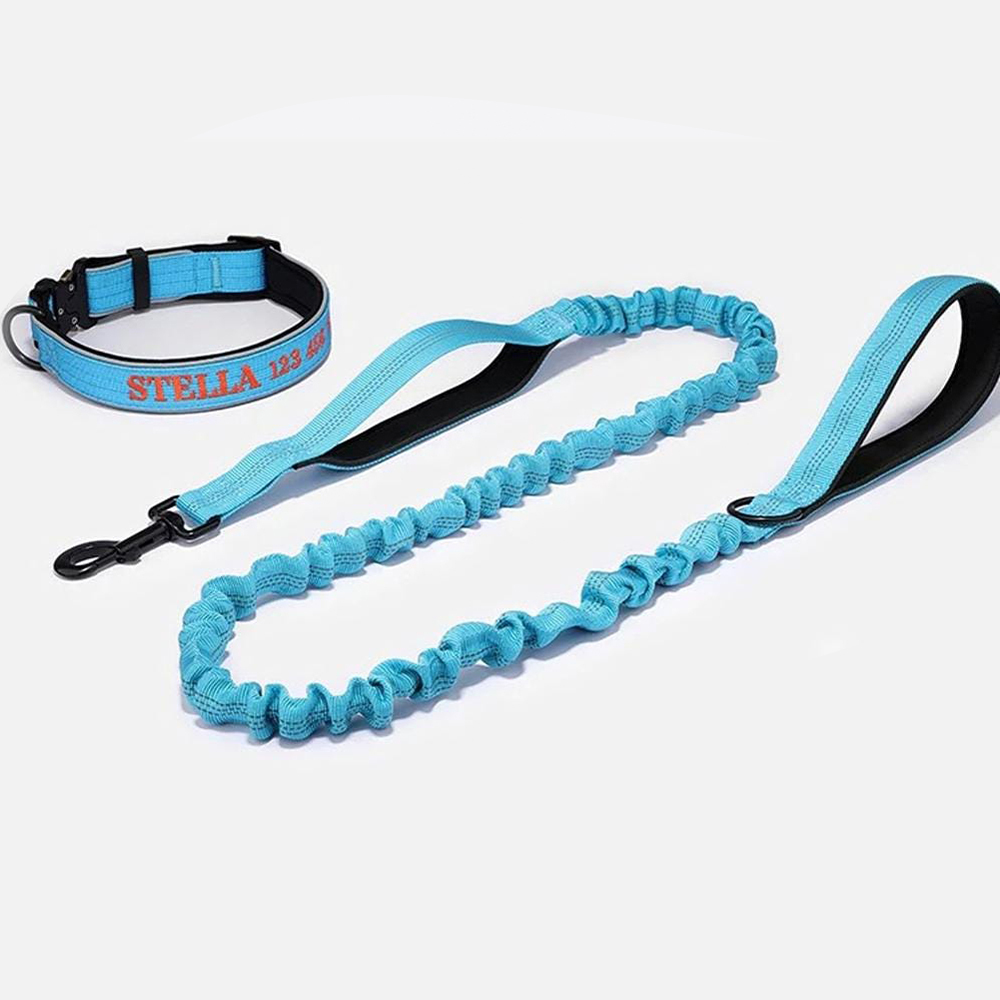 Personalized Embroidered Dog Collar & Leash Set | BKPet434