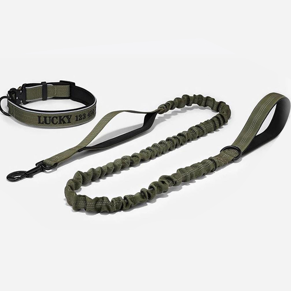 Personalized Embroidered Dog Collar & Leash Set | BKPet434