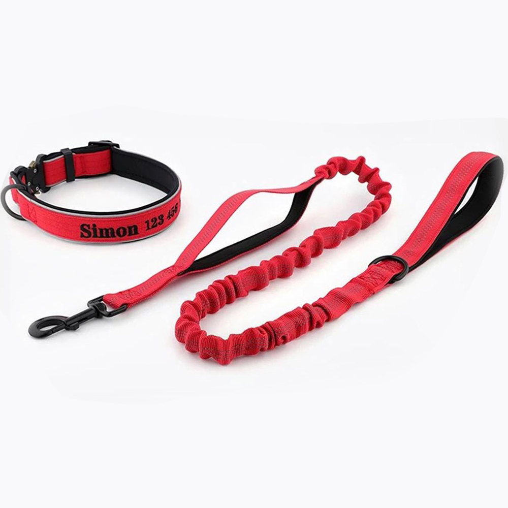 Personalized Embroidered Dog Collar & Leash Set | BKPet434