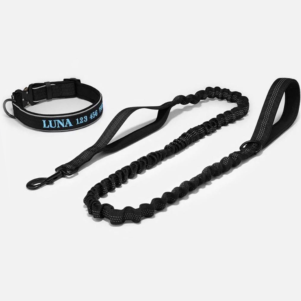 Personalized Embroidered Dog Collar & Leash Set | BKPet434