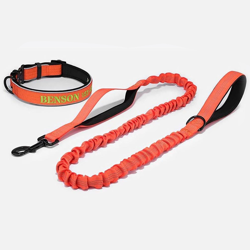 Personalized Embroidered Dog Collar & Leash Set | BKPet434