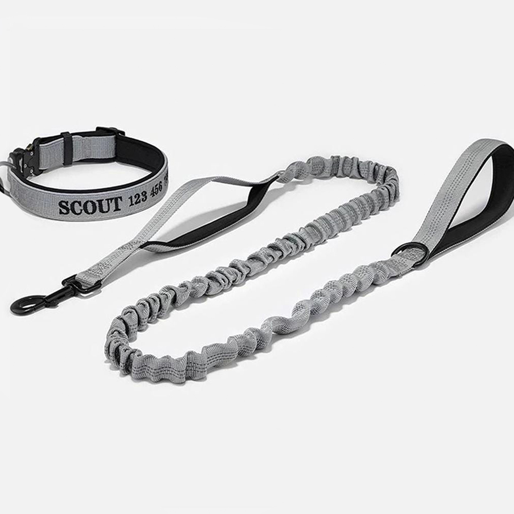 Personalized Embroidered Dog Collar & Leash Set | BKPet434