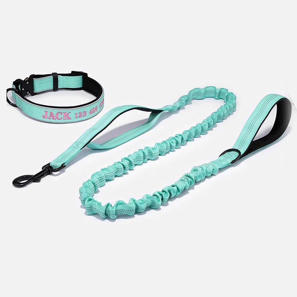 Personalized Embroidered Dog Collar & Leash Set | BKPet434