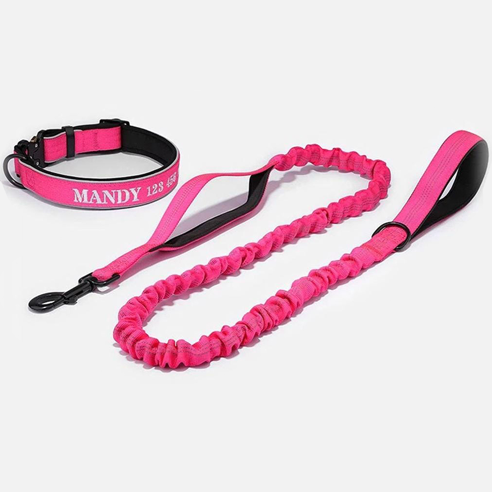 Personalized Embroidered Dog Collar & Leash Set | BKPet434