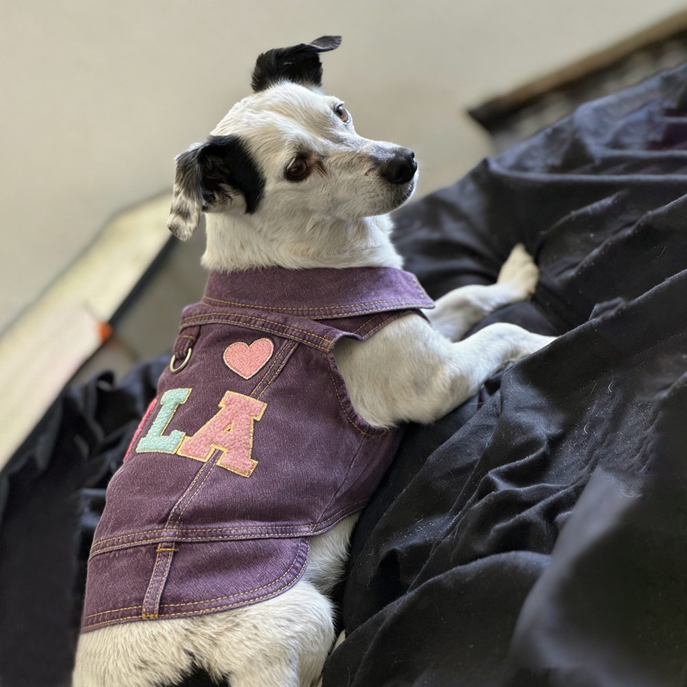 Personalized Handmade Chenille Patch Pets Denim Jacket | BKPet405