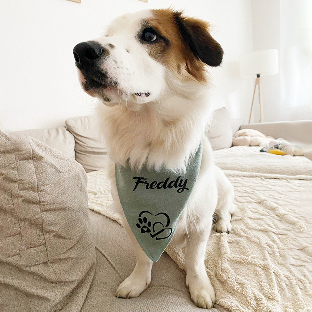 Personalized Dog Scarf Cotton Muslin for Comfort & Unique | BKPet156
