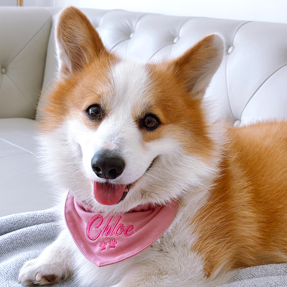 Personalized Embroidered Adjustable Dog Bandana | BKPet166