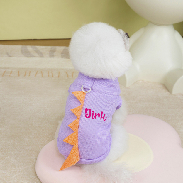 Personalized Pet Summer Lovely Dinosaur Shirt | BKPet179