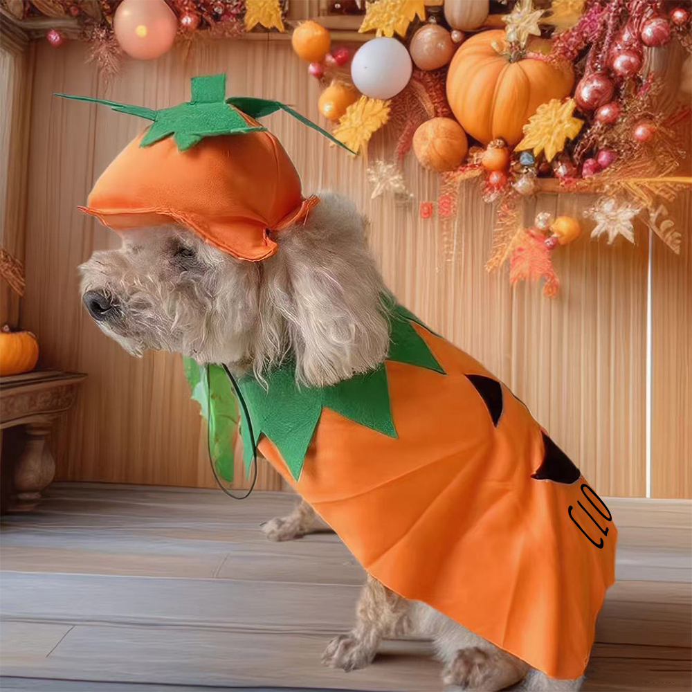 Personalized Halloween Funny Pumpkin Pet Costume | CWHalloween65