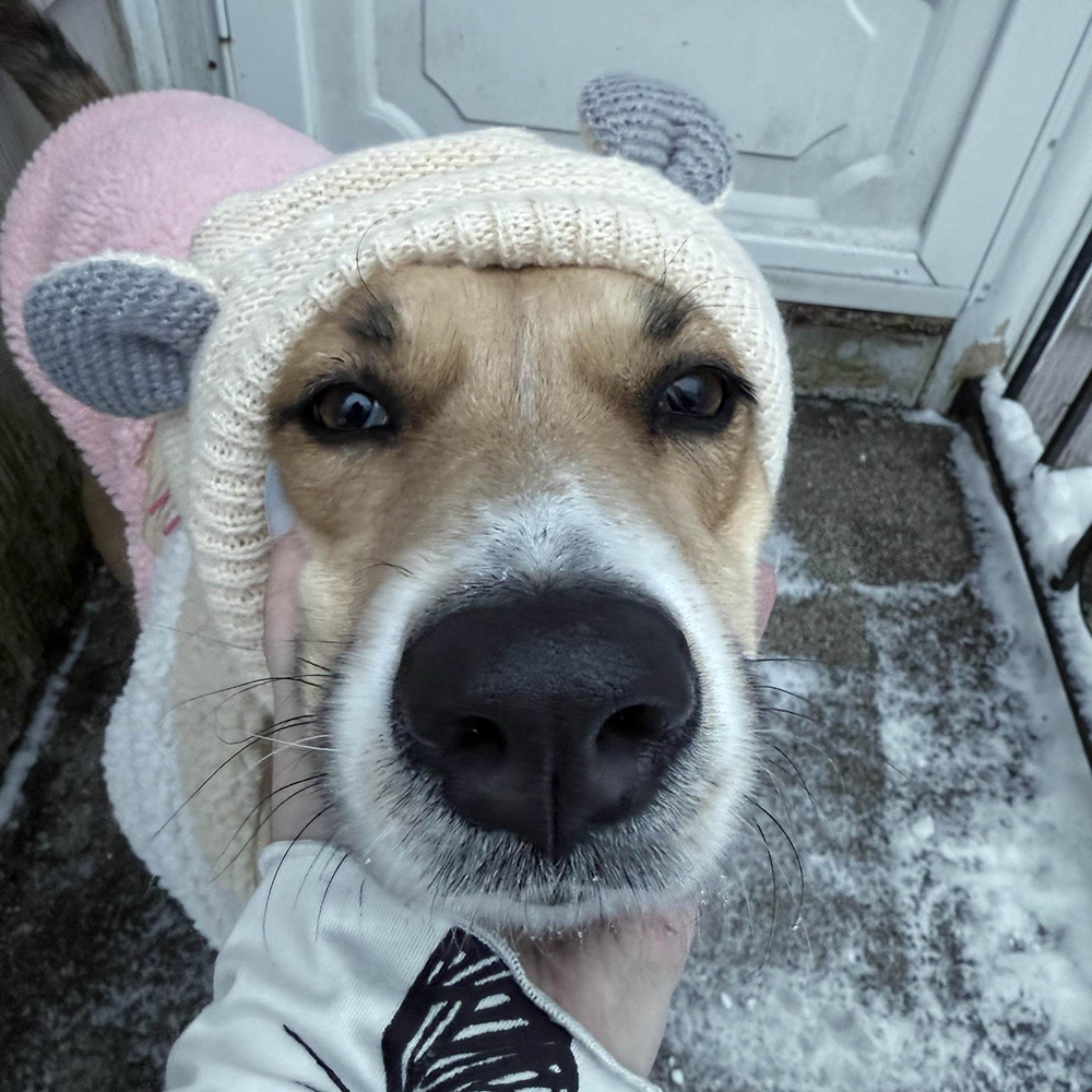 Personalized Embroidered Pet Winter Anti Noise Earmuffs Hat | BKPet206