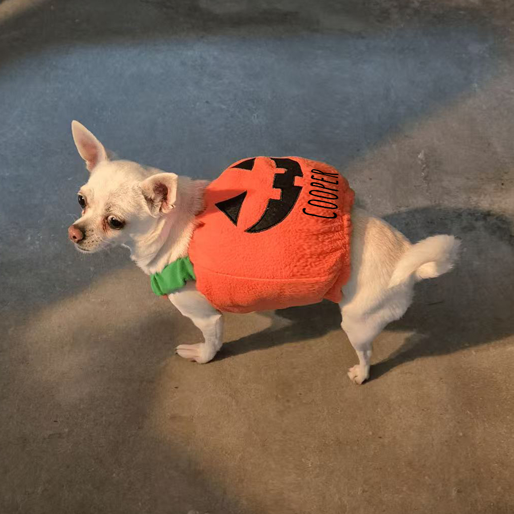 Personalized Halloween Funny Pumpkin Pet Costume | CWHalloween66