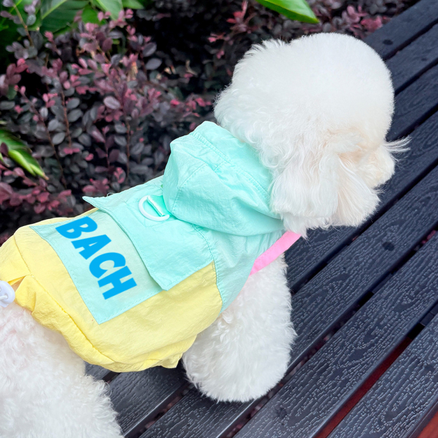 Personalized Cute Color Block Pet Summer Hoodie | BKPet207