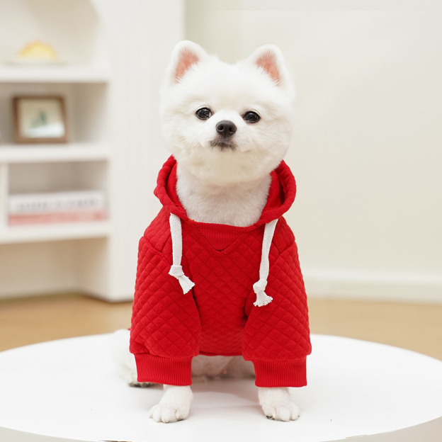 Personalized Warm Pullover Pet Hoodie Sweatshirt | BKPet209