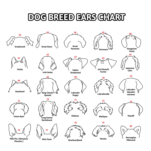 Personalized Memorial Plaque Dog Ear Collar Sign | BKPet212