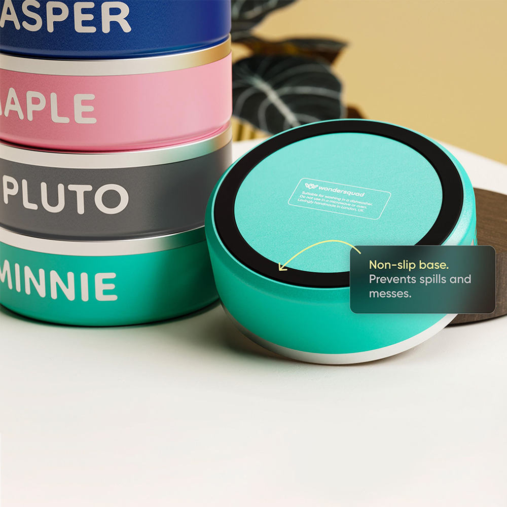 Personalized Stainless Steel Pet Food Bowl | BKPet229