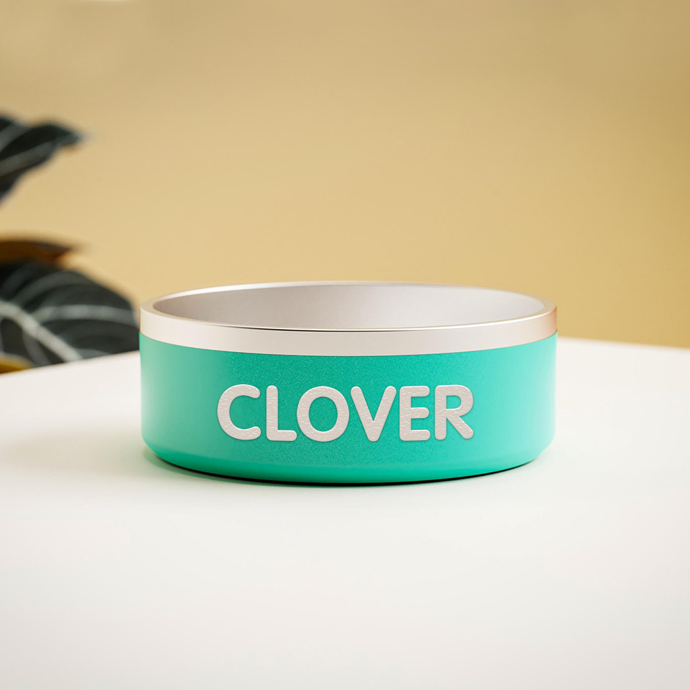 Personalized Stainless Steel Pet Food Bowl | BKPet229