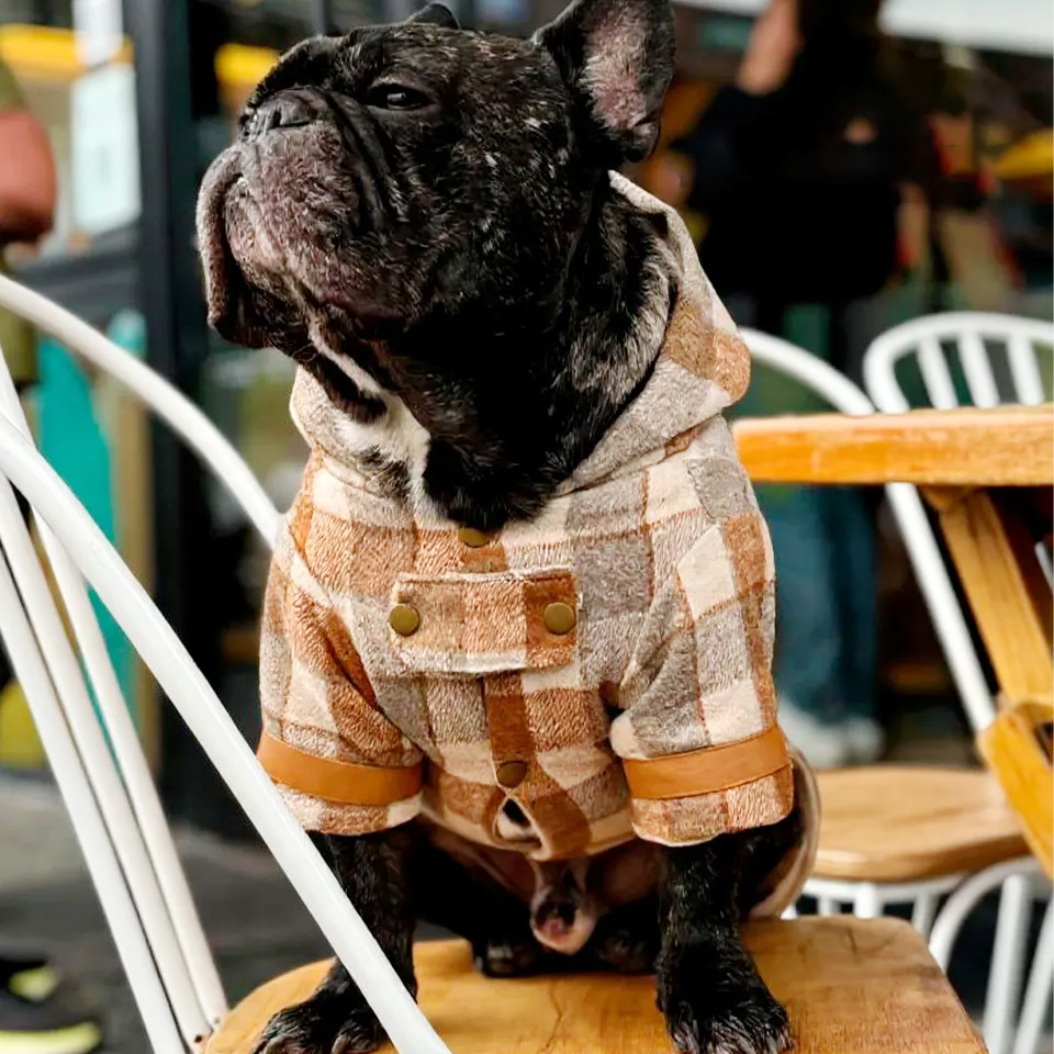 Personalized Leather Patch Pet British Style Jacket | BKPet232