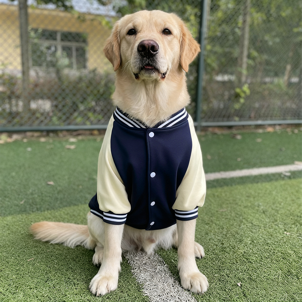 Personalized Pet Large Baseball Jacket | BKPet250