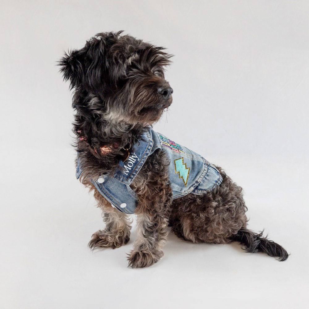 Personalized Hand Patch Pets Denim Jacket for Comfort and Unique | BKPet262
