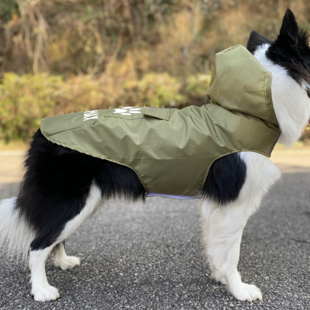 Personalized Pets Waterproof and Reflective Raincoat | BKPet270