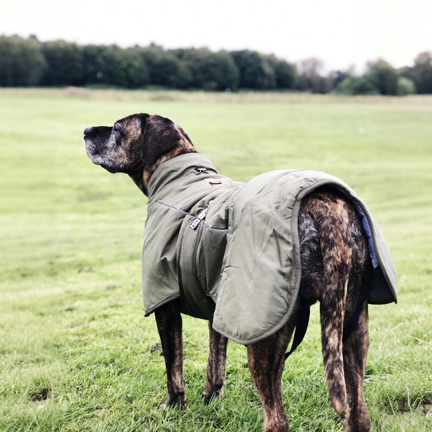 Personalized Pet Winter Warm Reflective Safety Puffer Vest | BKPet302