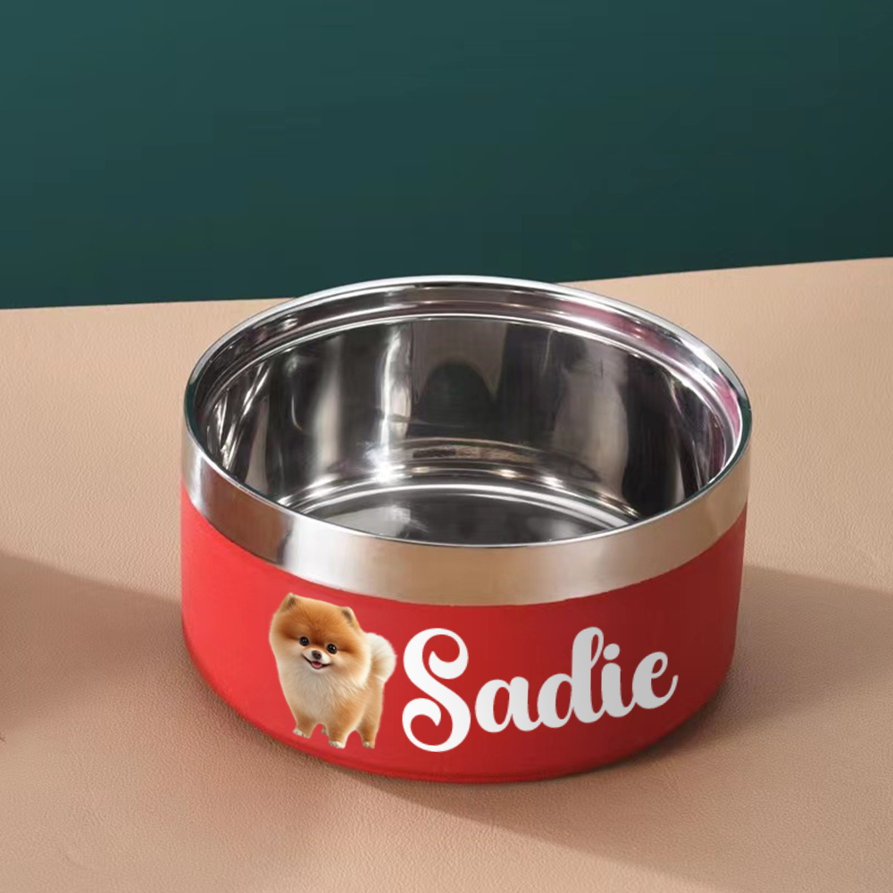 Personalized Stainless Steel Funny Pet Face with Name Food Bowl | BKPet306
