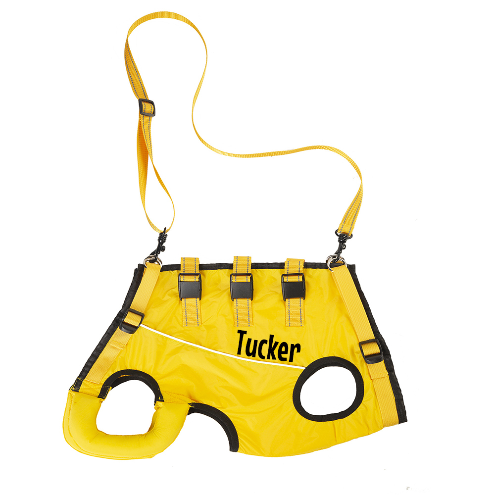 Personalized Adjustable Pet Lifting Harness Breathable Full Body Support | BKPet309