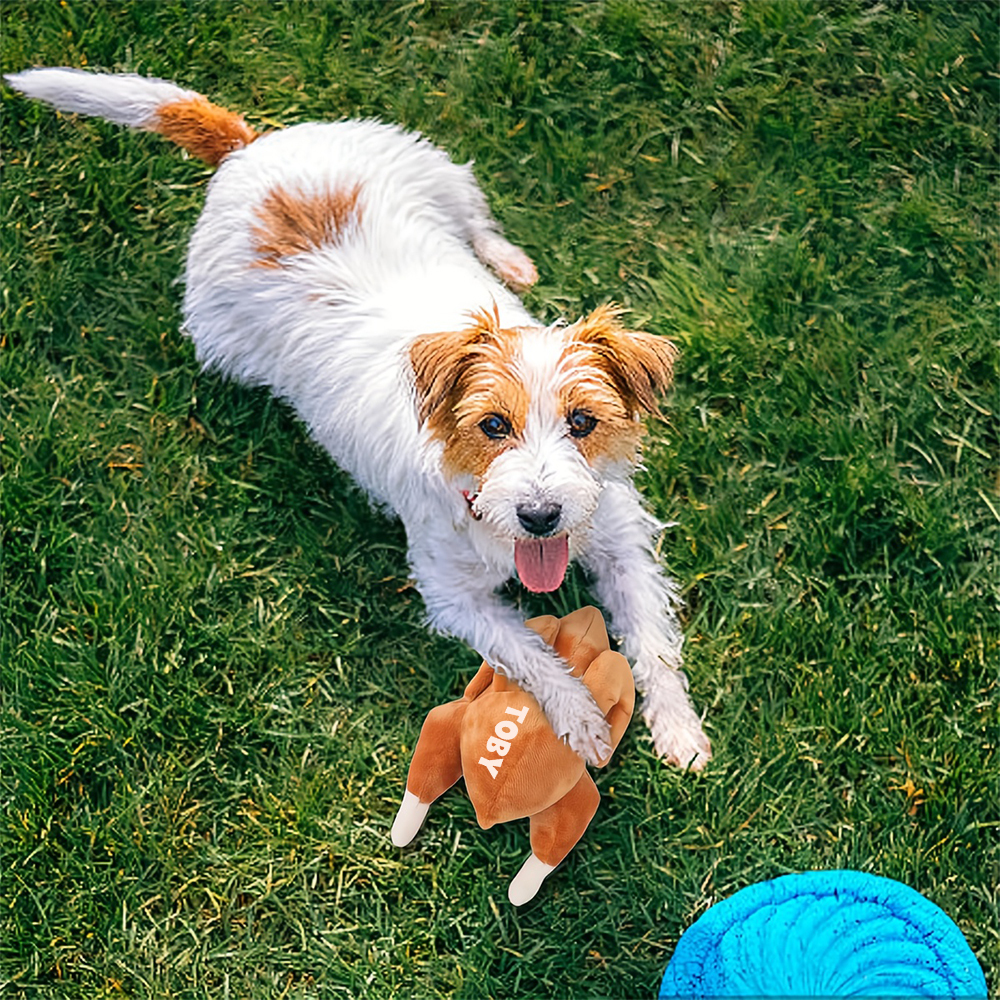Personalized Funny Roast Chicken Pet Squeaky Toy | BKPet313