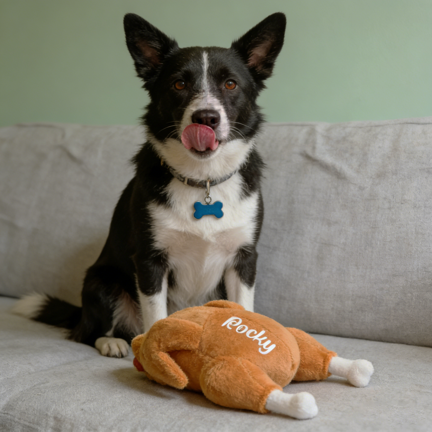 Personalized Funny Roast Chicken Pet Squeaky Toy | BKPet313