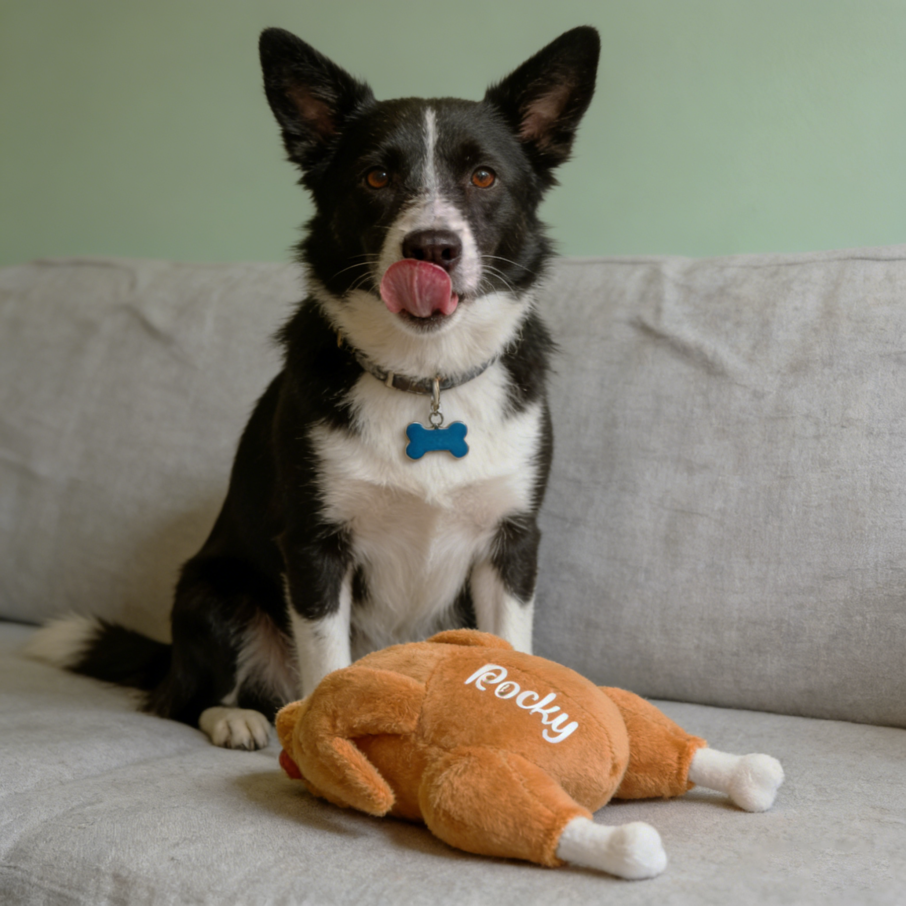 Personalized Funny Roast Chicken Pet Squeaky Toy | BKPet313