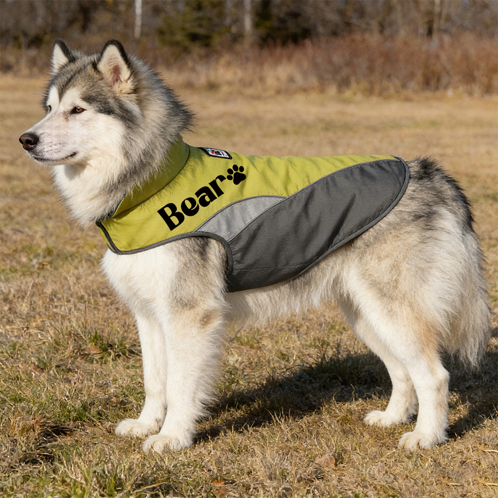 Personalized Pet Outdoor Windproof Vest | BKPet347