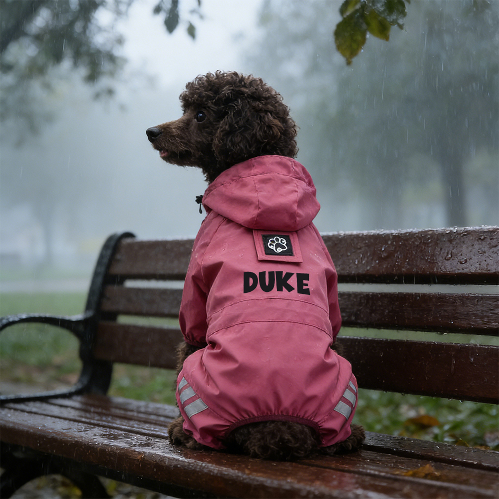 Personalized Pet Waterproop Raincoat with Hood | BKPet346