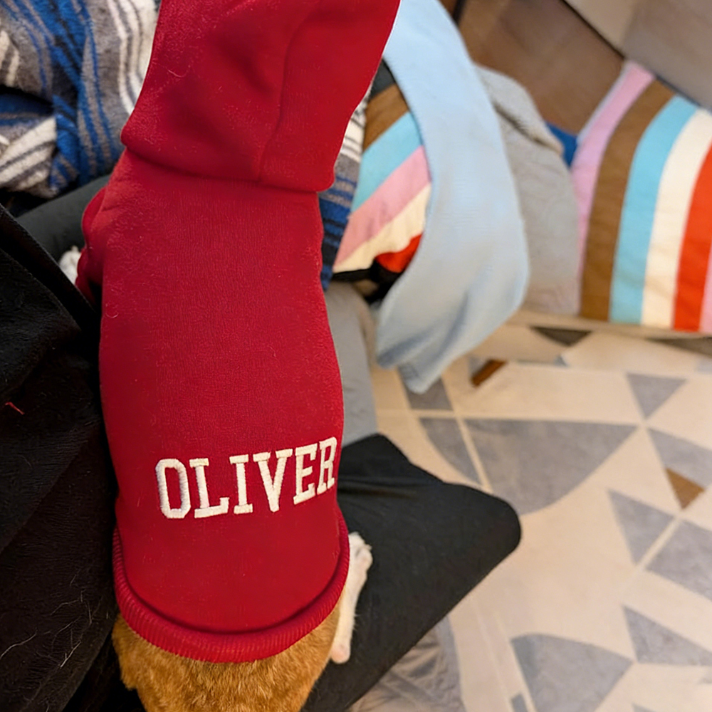 Personalized Embroidery Warm Soft Puppy Hoodie | BKPet362